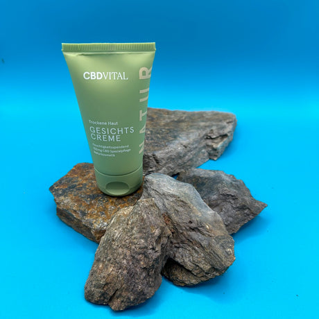 Trockene Haut Gesichtscreme im Mellow Peaks CBD Smartshop, Q24 Imst, Österreich mit Top Qualität online kaufen