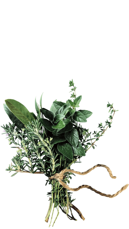 Frischer Kräuterbund bei Mellow Peaks Botanicals Imst – naturverbunden und pflanzlich