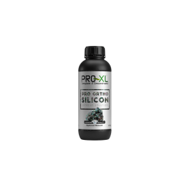 Pro Ortho Silicon 100ml Silizium