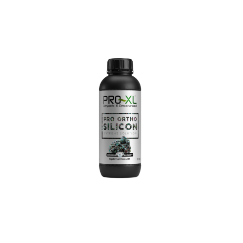 Pro Ortho Silicon 100ml Silizium
